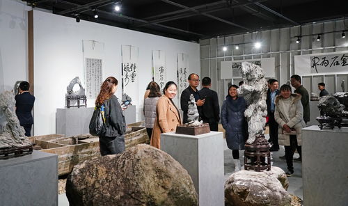 英石为媒,推动乡村文化振兴 2020年江英英石文化艺术展在生态设计小镇揭幕